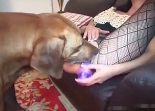 Elegant stripped under her dog
