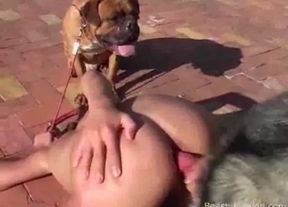 Perverted gets screwed by a dog