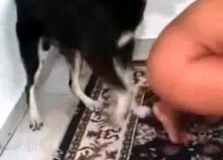 Tanned bitch and her nice pet