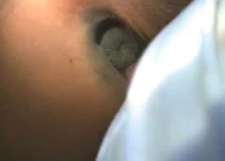 Horse anus looks so sweet