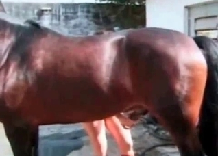 High heels make this horse horny