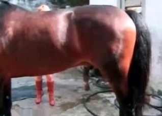High heels make this horse horny