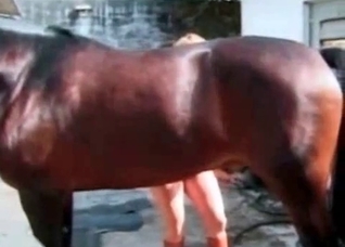 High heels make this horse horny