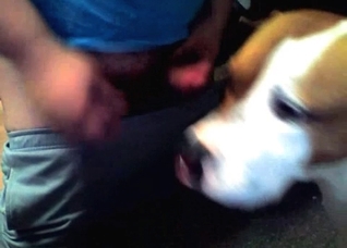 Dog licks my ass from behind