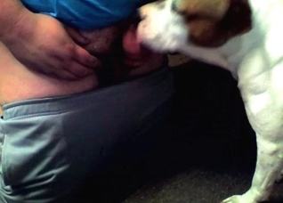 Dog licks my ass from behind
