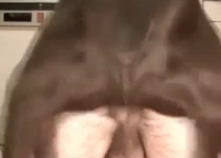 Fast dog sex with a male