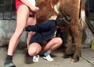 My wife enjoys animal sex