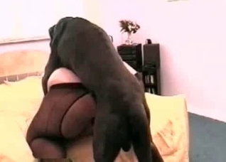 Black doggy and dirty bitch
