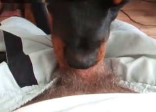 Nasty deepthroat by a doggy