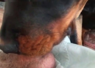 Nasty deepthroat by a doggy