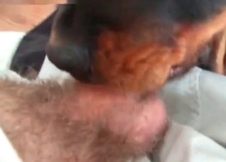 Nasty deepthroat by a doggy
