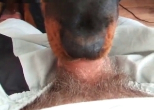 Nasty deepthroat by a doggy