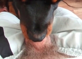 Nasty deepthroat by a doggy