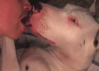 Slowly shoving dick in a dog