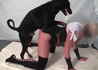Trained animal and juicy snatch