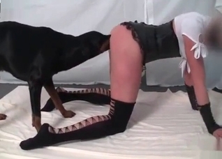 Trained animal and juicy snatch