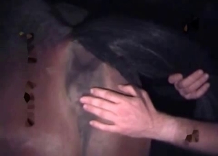 Horse anus looks so sweet