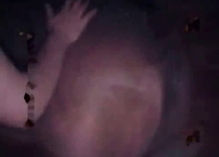 Horse anus looks so sweet