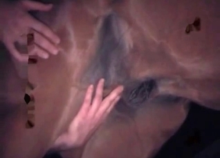 Horse anus looks so sweet