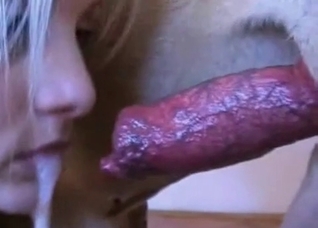 Blow my doggy in the close up