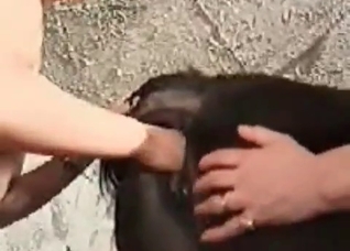 Anal stimulation by a zoo slut