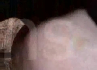 Horse is becoming so horny