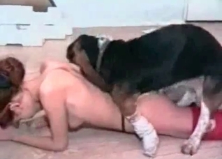 Hunter and submissive zoophile