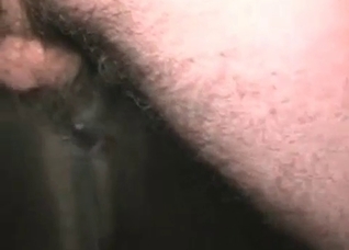 Black animal is ready for sex