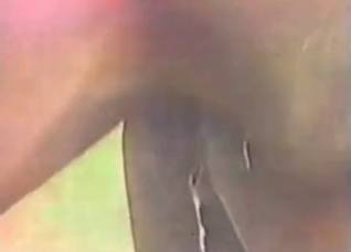Sweet horse sex at the farm