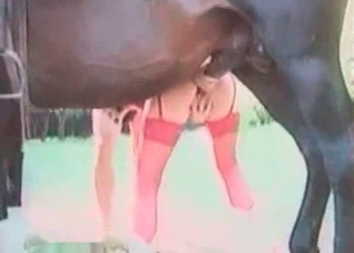 Let me fuck with a stallion