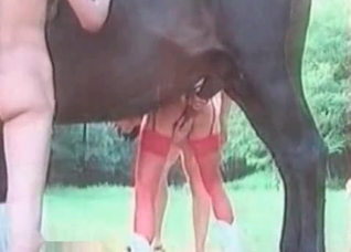 Let me fuck with a stallion