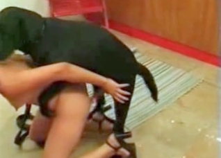 That dog is a truly good fucker