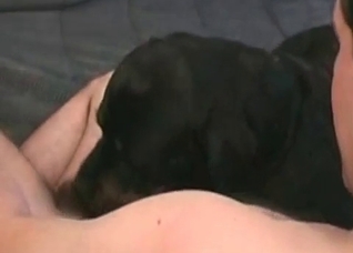 Fucking bulldog in the anal