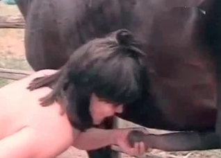 Bestial pervert wanks a horse cock