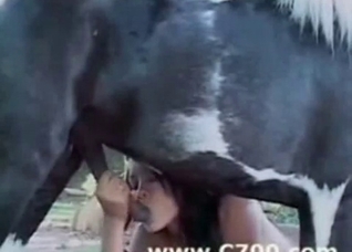 Horse cock cums in her closed mouth