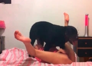 Brutal dog pounded a wide opened mouth
