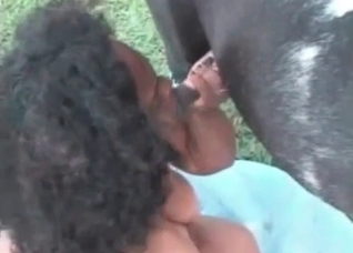 Fat Latino slowly sucks a horse