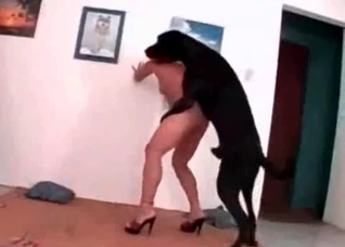 Tall doggy is trying to fuck me