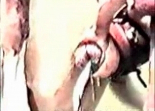 Horse dick is cumming a huge load