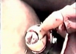 Horse dick is cumming a huge load