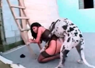 Spotted pet is trying to fuck her