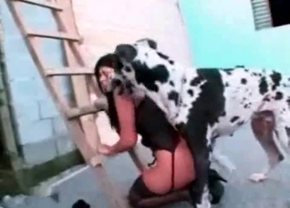 Spotted pet is trying to fuck her