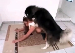 Playful doggy is a truly good fucker