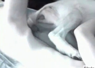 Dog slowly fucked in the ass