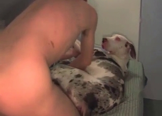 Hubby is kissing our sexy pet