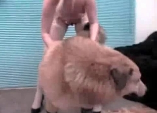 Hairy doggy in the bestial action