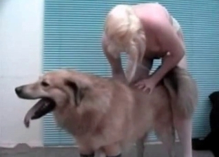 Hairy doggy in the bestial action