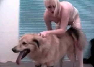 Hairy doggy in the bestial action