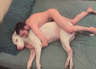 Trained dog gets a huge cumshot