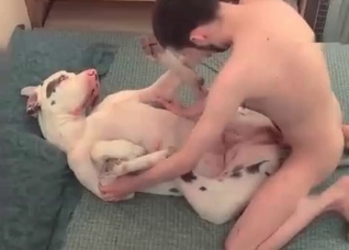 Trained dog gets a huge cumshot